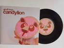 Gruff Rhys -  Candylion 7