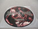 Picture Disc LP Cradle of Filth Vempire Vinyl Musik Band Rock
