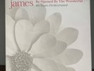 James - Be Opened By The Wonderful: 40 Years Orchestrated Pinwheel Vinyl 2LP New