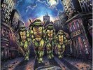 Teenage Mutant Ninja Turtles Movie Score 2Xlp Vinyl Set