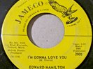 EDWARD HAMILTON & FIFES-I'm Gonna Love You/Call Me ORIG. NORTHERN SOUL 45 JAMECO