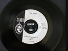 THE KINKS 