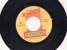 Jennifer Lara 45 Natural Misty STUDIO 1 ONE REGGAE dub HEAR roots NM US 170