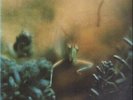 Steely Dan Katy Lied NEAR MINT Mca Vinyl LP