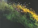 TINLICKER - This Is Not Our Universe - Vinyl (gatefold clear vinyl 2xLP)