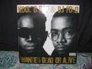 Kool G Rap & Dj Polo Vinile LP