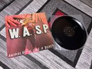 W.A.S.P. -Animal(F@*K Like A Beast) 1985 USA Label Vinyl 2-song EP_LA Shock Rock