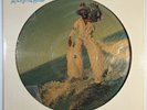 Parliament - Motor Booty Affair Picture Disc VINYL LP 1978 Thang