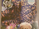 Jellyfish Bellybutton Omnivore 2012 Blue Vinyl LP Sealed