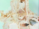 Pale Saints - In Ribbons LP NEW