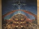 CRB Chris Robinson Brotherhood - Big Moon Ritual - Vinyl 2xLP NM- Black Crowes