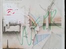 The Chameleons U.K. Script Of The Bridge 1984 Vinyl