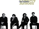 Cowboy Junkies - Lay It Down LP NEW