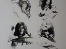 Led Zeppelin; The Complete BBC Sessions, limitierte 5 LP Box