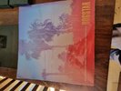 SIGNED DOGSTAR Somewhere Between Palm Trees & Powerlines LP Vinyl KEANU REEVES