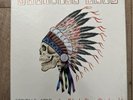 Grateful Dead , Spring 1990: So Glad You Made It 4 LP SET Vinyl
