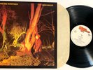 Crocodiles by Echo And The Bunnymen Lp Uk Import Nm