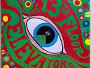 The Psychedelic Sounds Of The 13th Floor Elevators LP - 1978 RADAR AI/B1 UK  EX
