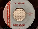BOBBY WAYNE Last Ride b/w TV Dream Orig '63 JERDEN Rockabilly Bopper 45 VG+