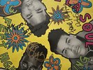 De La Soul - 3 Feet High and Rising SIGNED 1989 Vinyl  USED Hip Hop