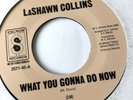 LaShawn Collins ‎– What You Gonna Do Now / Girl Chooses The Boy 7'' Vinyl 45 RPM