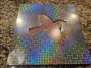 Widespread Panic Til The Medicine Takes vinyl record awY (I-14687DRP) Used