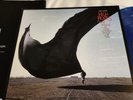 pink floyd High Hopes vinyl lp