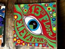 The 13th Floor Elevators - The Psychedelic Sounds Of 12