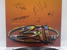 NEW 311 Greatest Hits 93-03 SIGNED Vinyl LP Record Music Chaos Transistor Mosaic