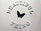 The Stone Roses Beautiful Thing 12
