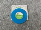 Brian Wilson - Wonderful - 7” Blue Vinyl Single Record 2004 Rare