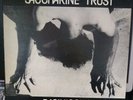 Saccharine Trust - Paganicons LP   EX Original with Insert   SST