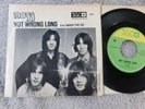 Nazz (Todd Rundgren)  - Not Wrong Long -  US Picture Sleeve PS 7