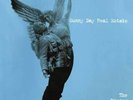The Rising Tide [2 LP], Sunny Day Real Estate, Excellent