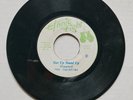 THE EQUATORS - GET UP STAND UP / ETHNIC FIGHT  - STAND UP DUB / 7