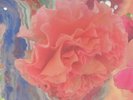 CONIC ROSE - Heller Tag - Vinyl (LP limited to 150 copies)