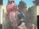 J.J. Cale, Naturally, Shelter Records, SR-2122, VG+/VG