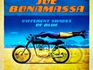Joe Bonamassa Different Shades Of Blue 180G NEAR MINT Provogue Vinyl LP