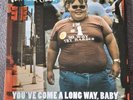 FATBOY SLIM - You've Come a Long Way Baby 2x VINYL LP Mint/Mint