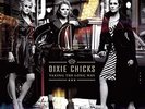 The Chicks - Taking the Long Way [New Vinyl LP] Gatefold LP Jacket