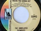 The Unrelated Segments. Where You Gonna Go . Garage Rock