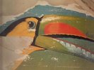 Jane Sign No 9 NEAR MINT Brain Vinyl LP