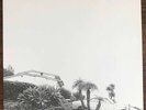 Timber Timbre - Hot Dreams - Vinyl