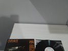 LP VINYL REAL DE CATORCE.- MIS AMIGOS MUERTOS.