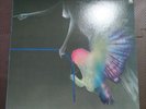 1LP AKI TAKASE / MINERVA'S OWL HL-5010 INSERT