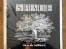 SHADE Lost In Summer LP Original 1976 Private Jazz Funk Psych John Donelan EX