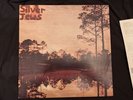 Starlite Walker by Silver Jews LP Record Original 90s Very Rare Vinyl Indie 1st