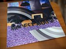 MODEST MOUSE THE GOLDEN CASKET VINYL LP VINYL