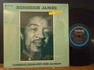 Homesick James ‎– Homesick James, Ain't Sick No More 1973 Bluesway Vinyl VG+ LP