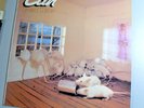 CAN-Limited Edition-United Artists Records-1974 UK-USP.103-vinyle à l'état Neuf